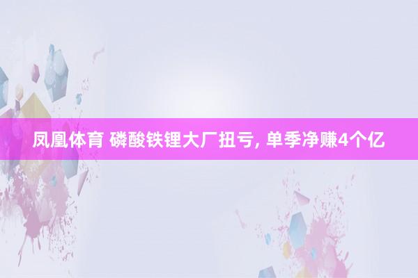 凤凰体育 磷酸铁锂大厂扭亏， 单季净赚4个亿