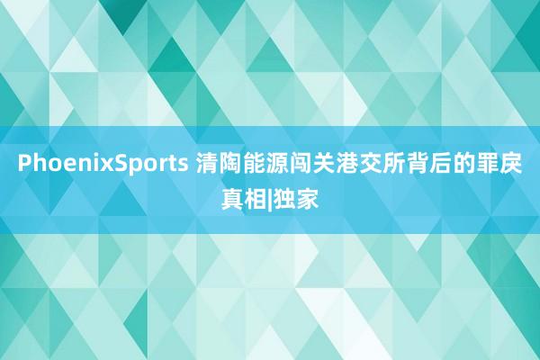 PhoenixSports 清陶能源闯关港交所背后的罪戾真相|独家