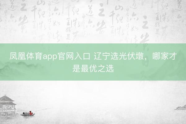 凤凰体育app官网入口 辽宁选光伏墩，哪家才是最优之选