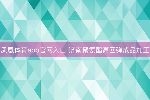 凤凰体育app官网入口 济南聚氨酯高回弹成品加工