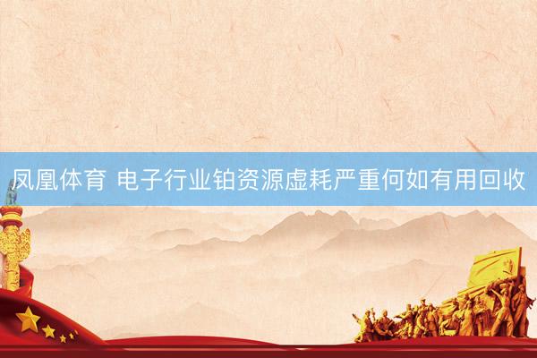 凤凰体育 电子行业铂资源虚耗严重何如有用回收