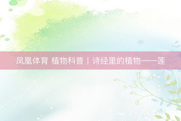 凤凰体育 植物科普丨诗经里的植物——莲